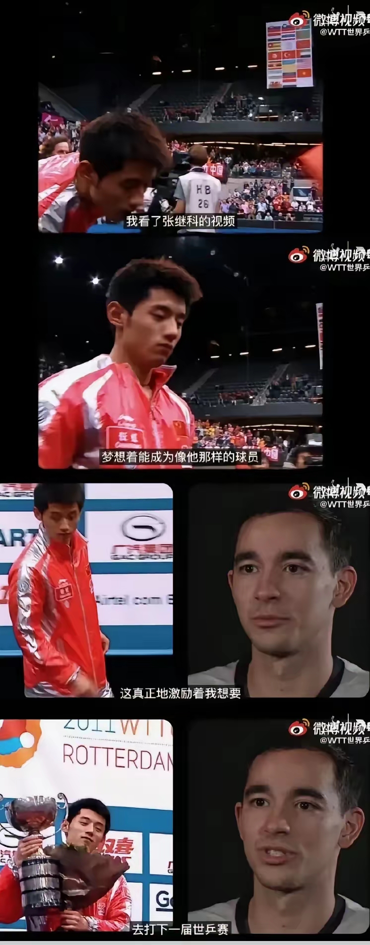 包含比利时乒乓球队强势日本乒乓球队，张继科关键制胜的词条