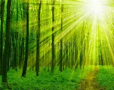 阳光之火再明煌,桑普多塞恶耿 阳光之火再明煌,桑普多塞恶耿