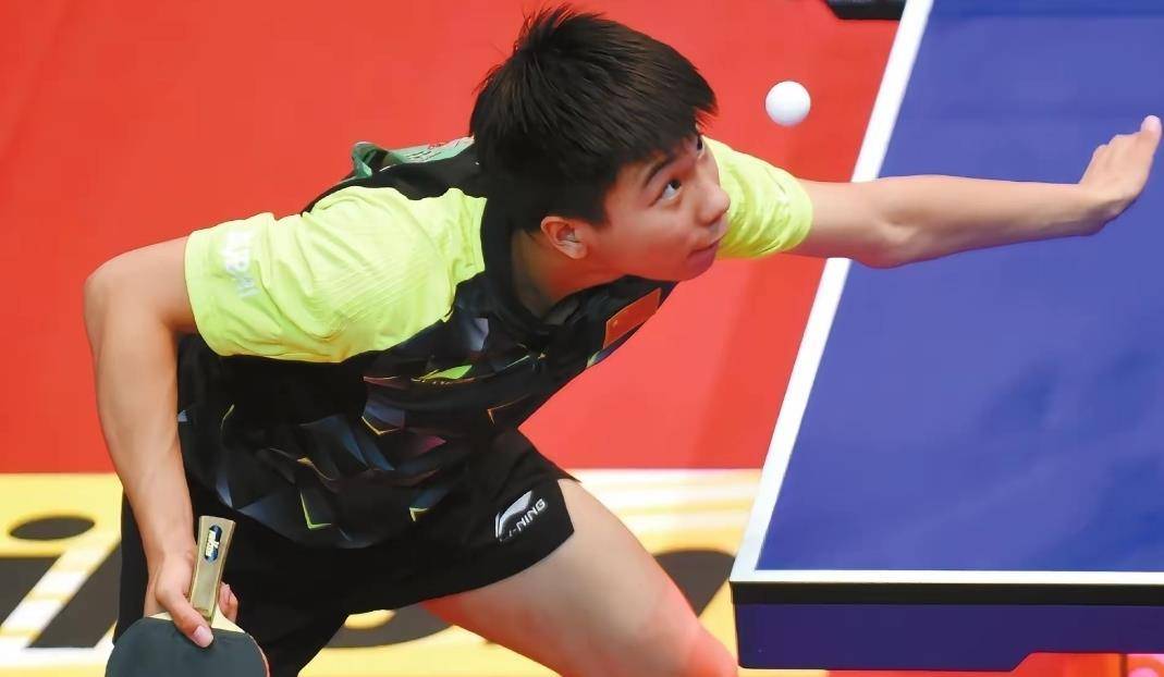 法国乒乓球队绝杀比利时乒乓球队，王皓高光表现的简单介绍