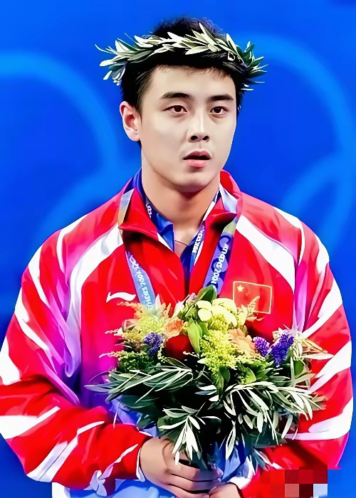 法国乒乓球队绝杀比利时乒乓球队，王皓高光表现的简单介绍