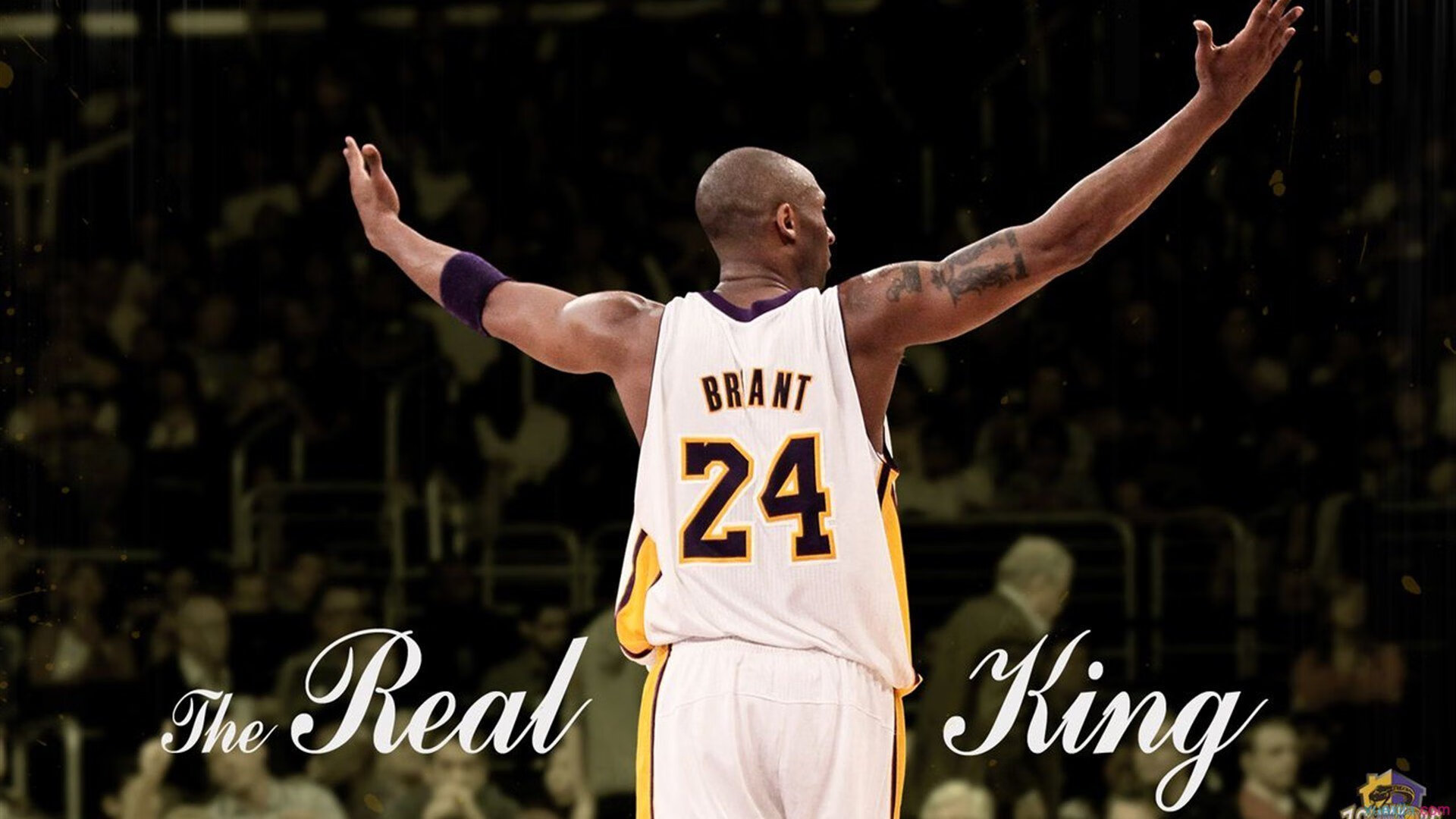 独行侠末节风暴，爱德华兹关键先生崛起，太阳陨落记